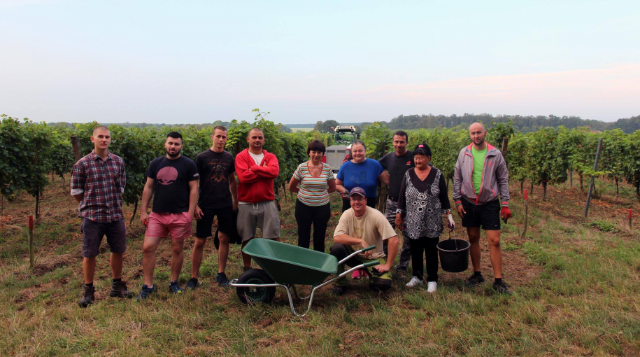 Čas pre zber hrozna a vinobranie